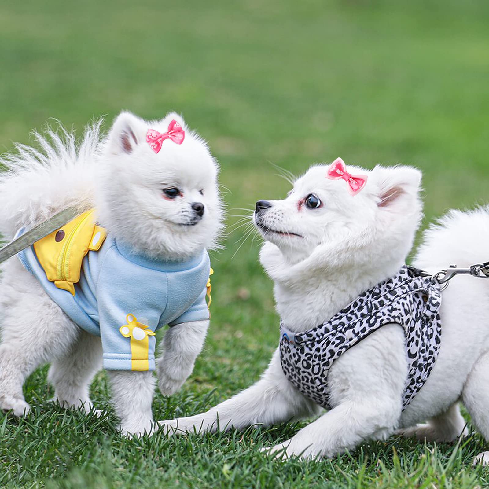 SusanLanciリボン付き リード 犬用品　小型犬　セレブ犬　ピンク　可愛い 楽天市場】犬 首輪 リード セット 犬首輪 小型犬 中型犬