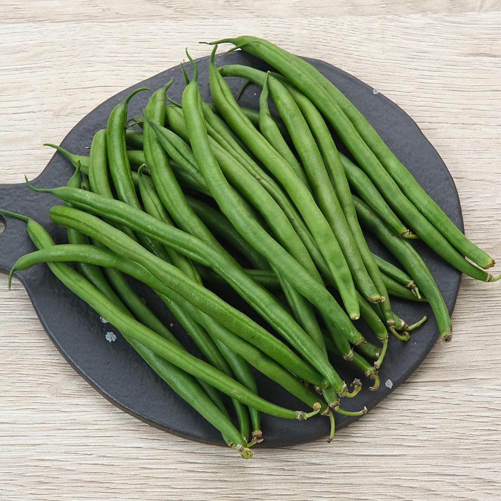 Climbing French Bean Isabel Seeds β Large Crops of White Seeded Stringless, Easy to Pick Beans β for Your Beautiful Kitchen Garden