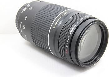 CANON EF 75-300mm F4-5.6 Ⅲ USM 完動品#245 Canon EF 75-300mm F/4-5.6 III