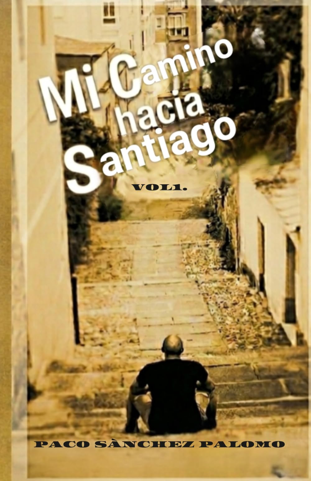 MI CAMINO HACIA SANTIAGO