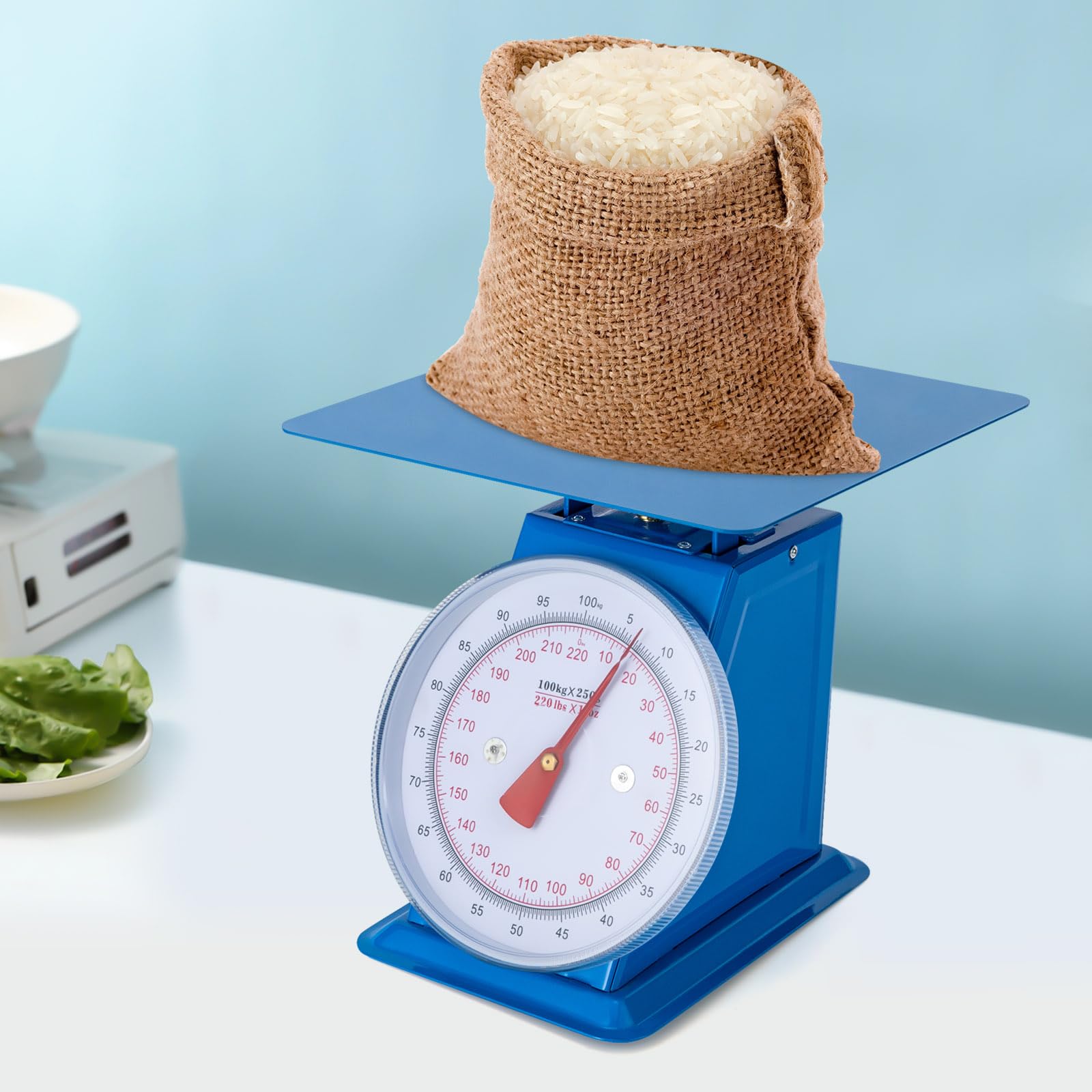 Mechanical Dial Scale,220-Lbs Heavy Duty Portion-Control Kitchen and Food Scale,Large Visible Beveled Dial/High Precision +-1.1 Lbs,for Supermarkets,Food Markets,Snack Shops.