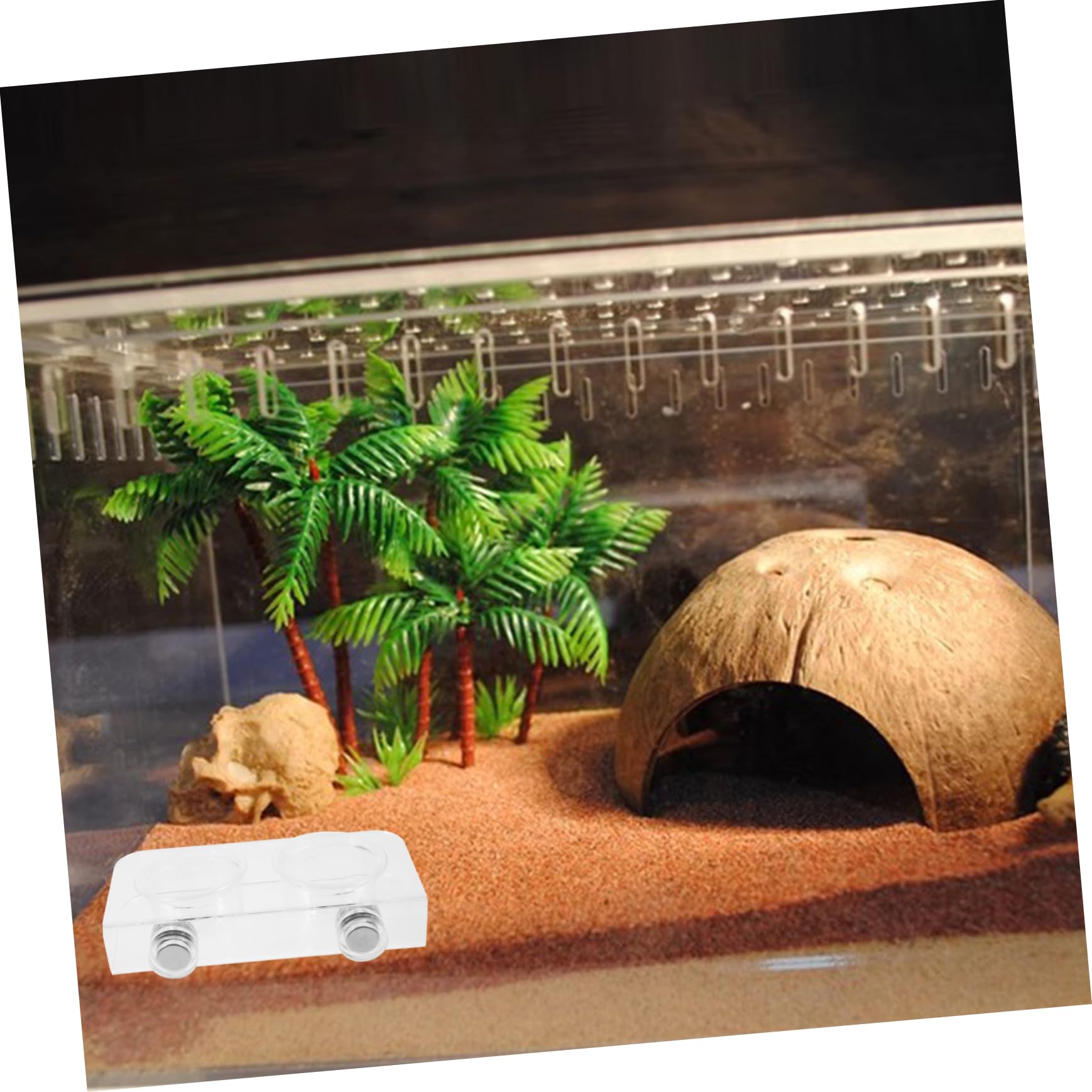 Sosoport 5juegos Taza De Alimentación Magnética para Reptiles Comedero y Bebedero para Geckos y Reptiles Resistente y con Cuencos para Terrarios y Paisajismo