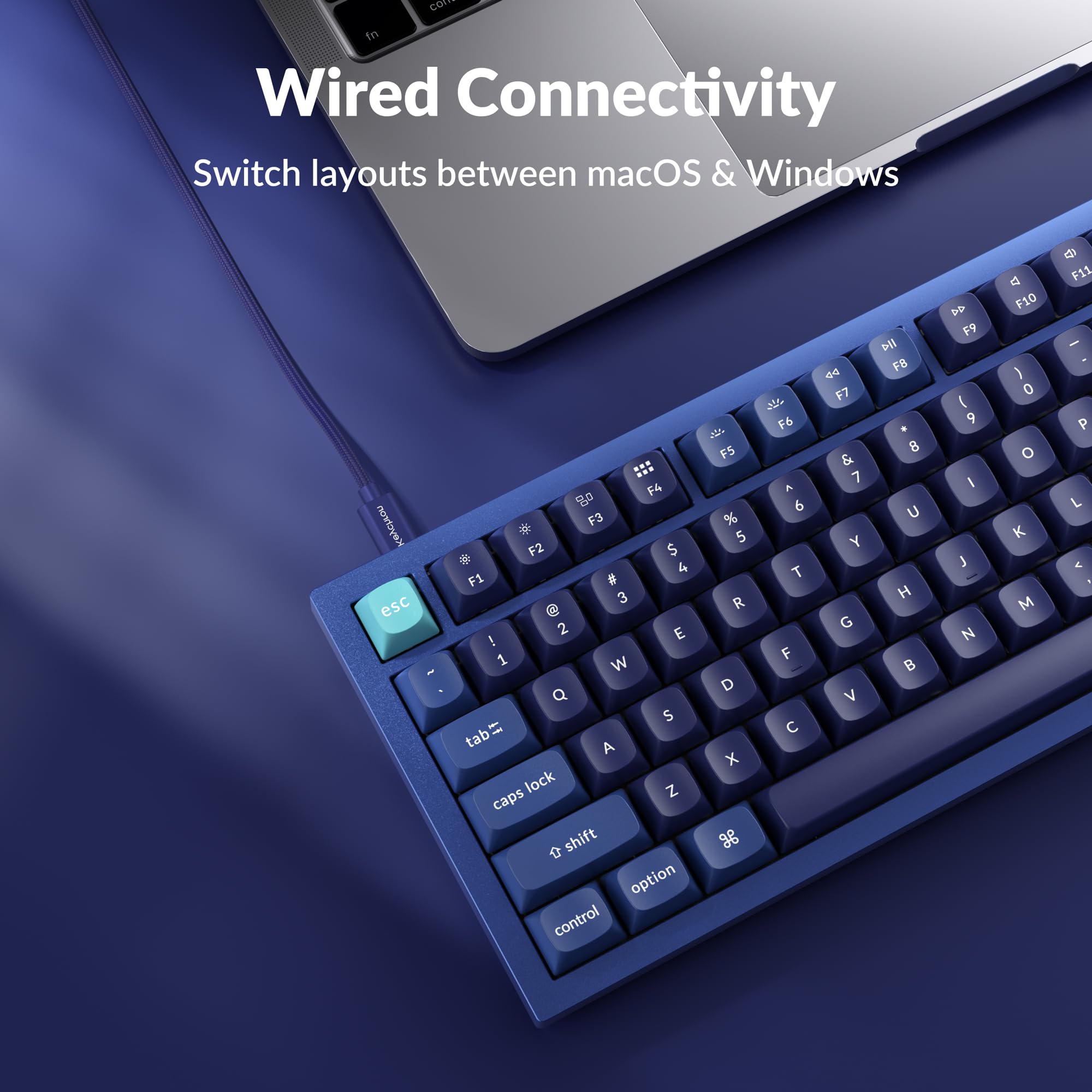Amazon.com: Keychron Q1 RGB Wired Custom Mechanical Keyboard Knob