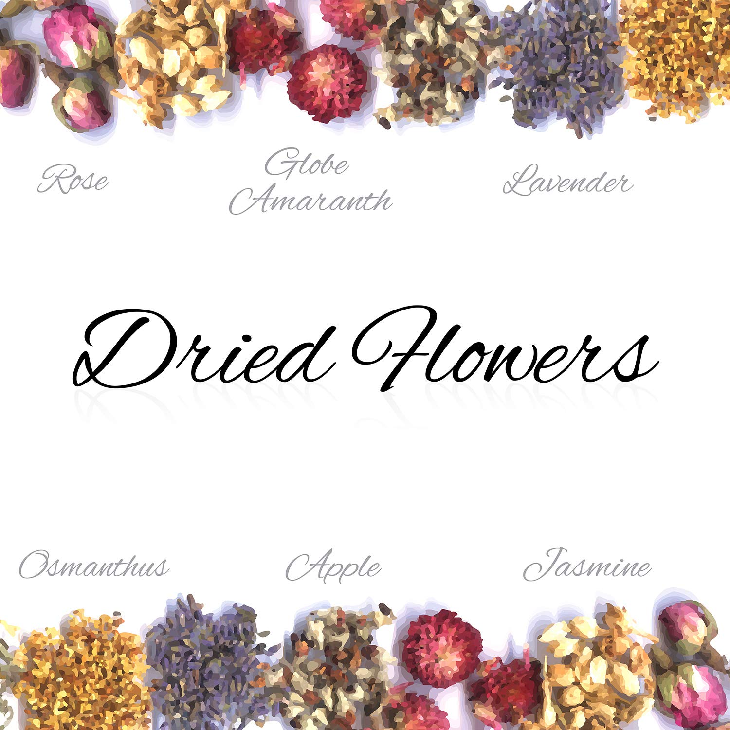 12 Types Dried Flowers Natural Dried Flower Real Dried Flower for DIY
