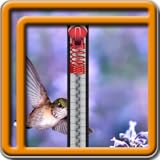 Zipper Lock Screen Hummingbird