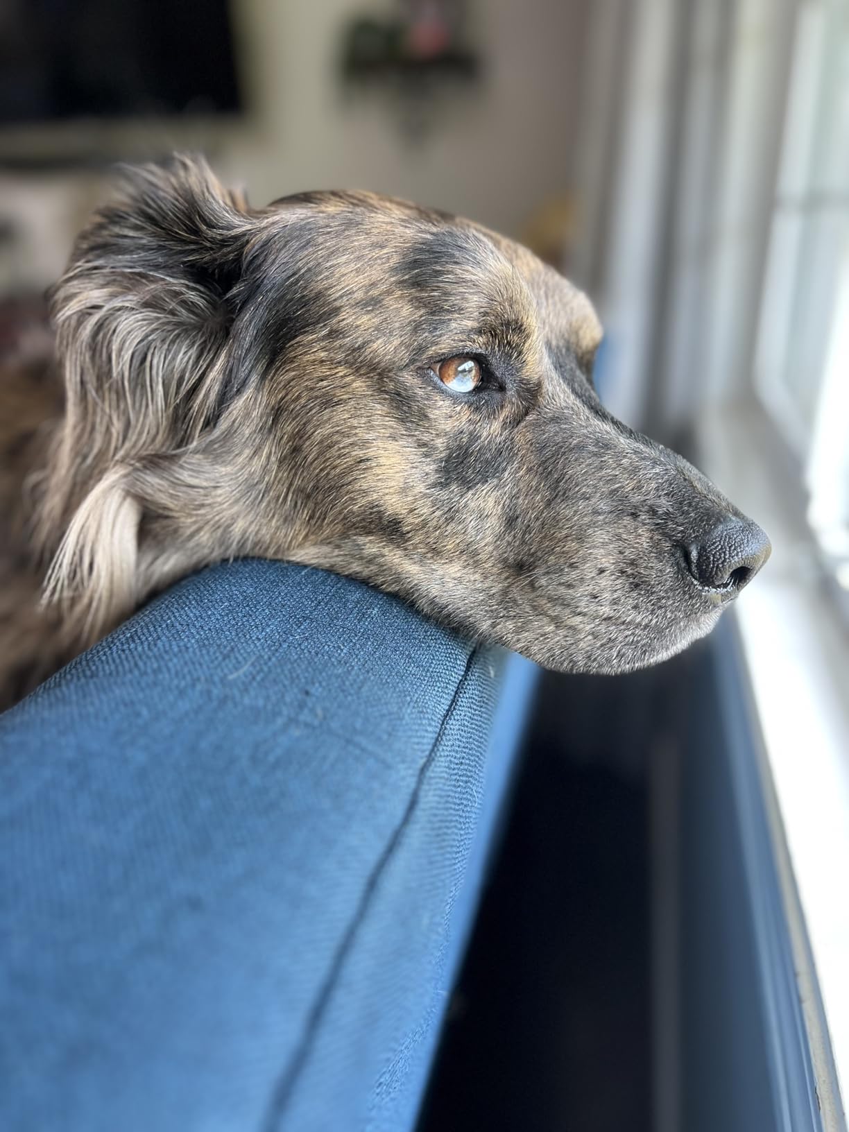 Bousnic vertical remote layout perfect for lanyard