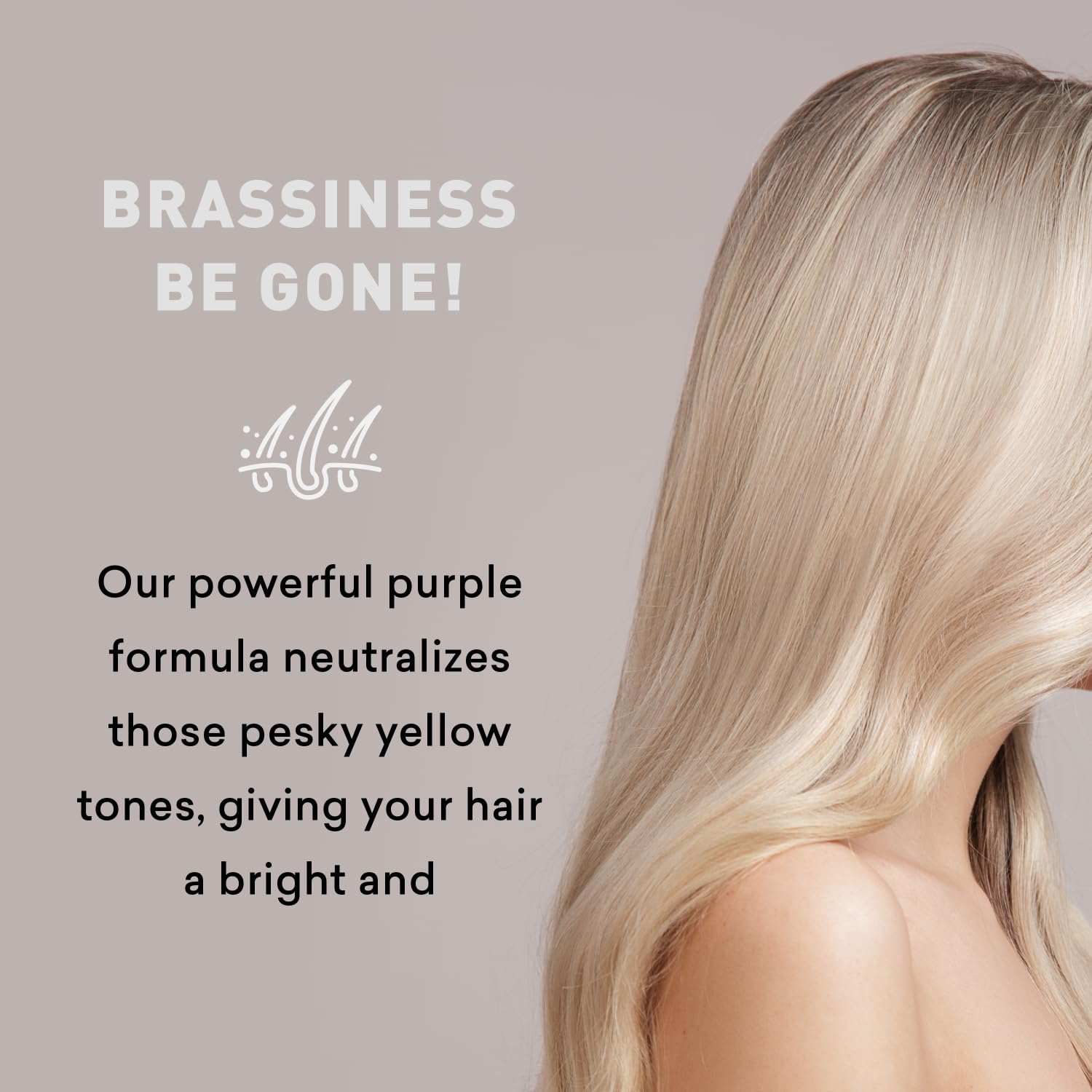 Just Nutritive Purple Conditioner for Blonde, Gray, Silver & Bleached Hair, 8 oz