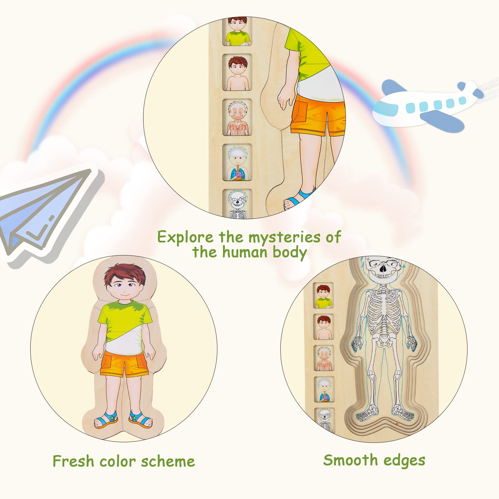 WOODENFUN Mein Körper Puzzle per bambini 3-5, Montessori Anatomia, Puzzle a strati per bambini in età prescolare e bambini dai 3 anni in su (ragazzi)