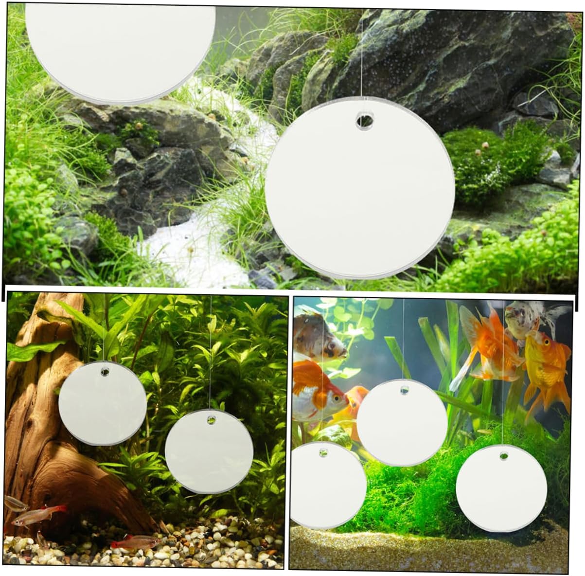 Toddmomy 3pcs Betta Fish Training Mirror Floating Mirrors for Fish Tank Decoration Encourages Betta Exercise and Playfulness Aesthetic Enhancement for Home Decor