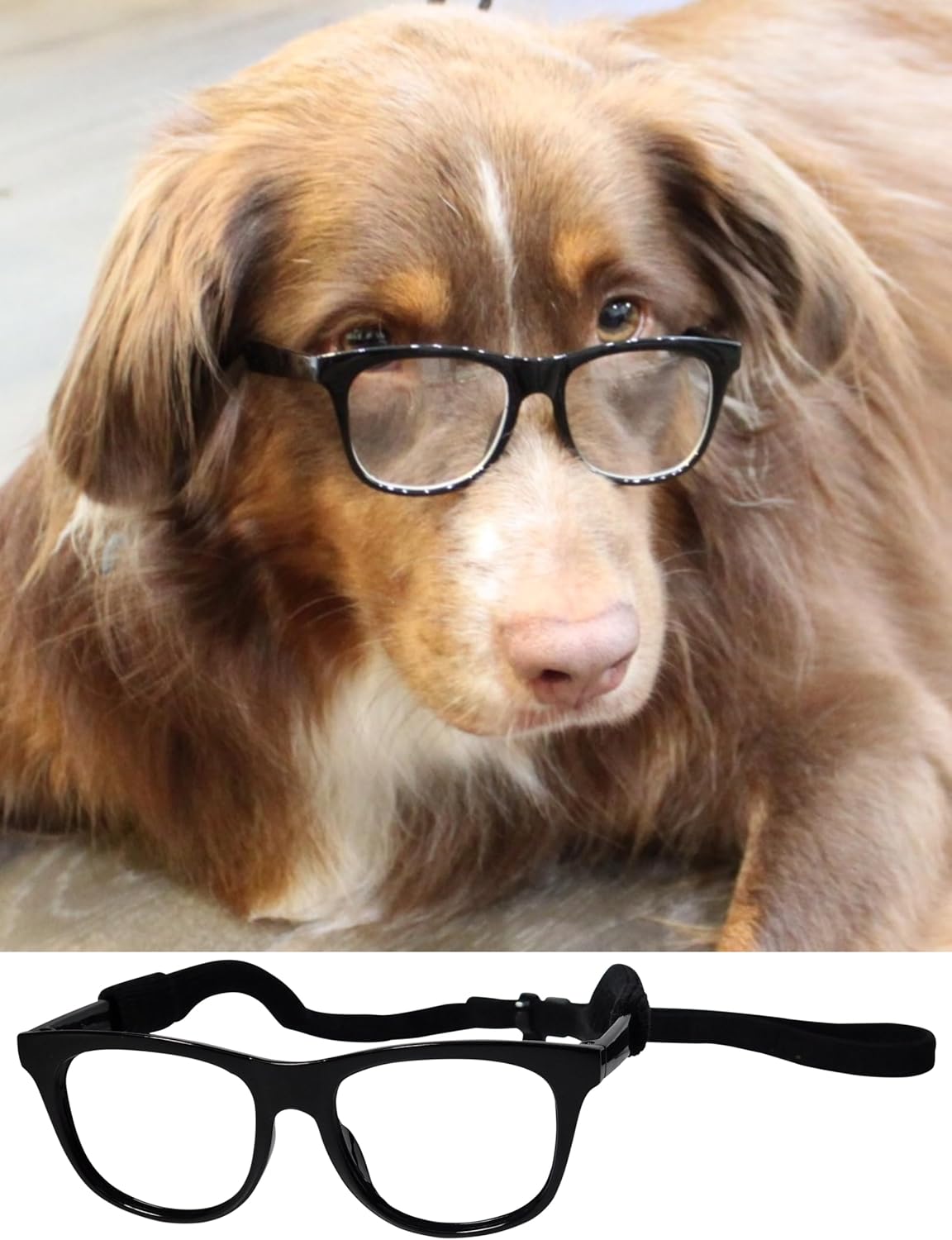 Amazon.com : G003 Dog Glasses Medium Breeds 18-40lbs Pet Cat Retro ...