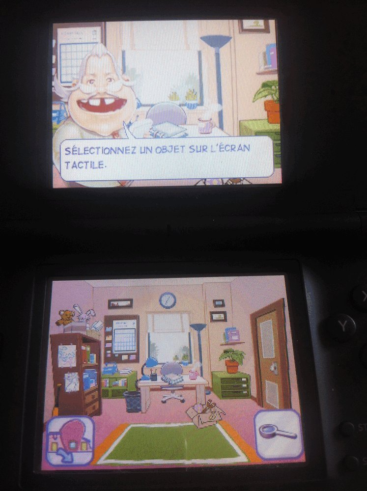 Jeu Nintendo DS LEA PASSION Maitresse D'école : Classe Verte - Version FR - Comme Neuf