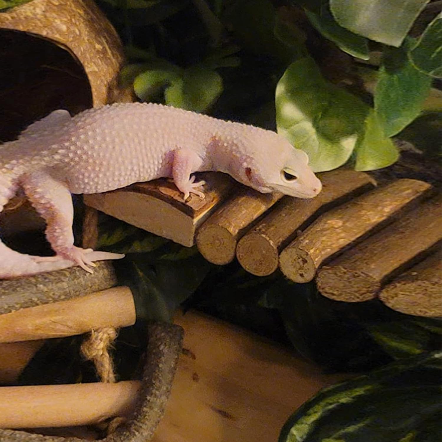 Natural Wood Bridge Ladder Tunnel Tube for Hamster Rats Mouse Guinea Pig Chinchilla Ferret Reptile Small Animals Cage Wooden Hideout Toy (2 Bridge 11" & 8.3")