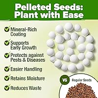 Vista 67 de HOME GROWN Semillas de diente de león para plantar 600 semillas de hierbas medicinales tradicionales (~ 0.01 oz) sin OMG cultivan hojas y flores