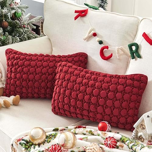 COCOPLOCEUS Juego de 2 fundas de almohada lumbar de 12 x 20 pulgadas, fundas de almohada rectangulares de terciopelo con textura de burbujas para