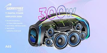 300W Portable Speaker with Handle & Microphone (Gray-WA65)