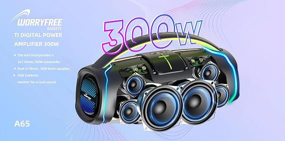 300W Portable Speaker with Handle & Microphone (Gray-WA65)