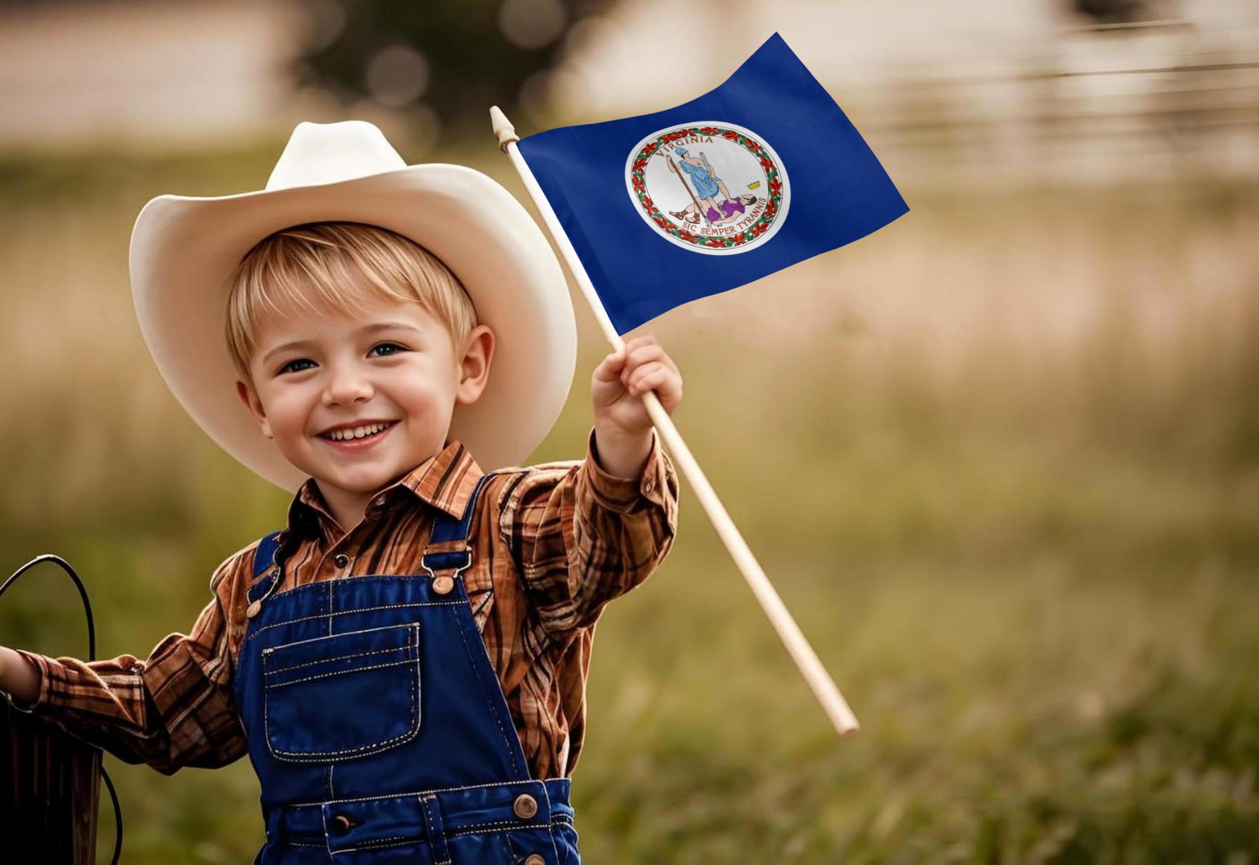 View 6