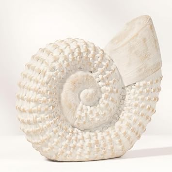 Coastal Seashell Decorative Figurine Handcrafted Polyresin Nautical Decor Sculpture Figurines & Sculptures Home Decor for Office, Bedroom & Living Room 7", Whitewash