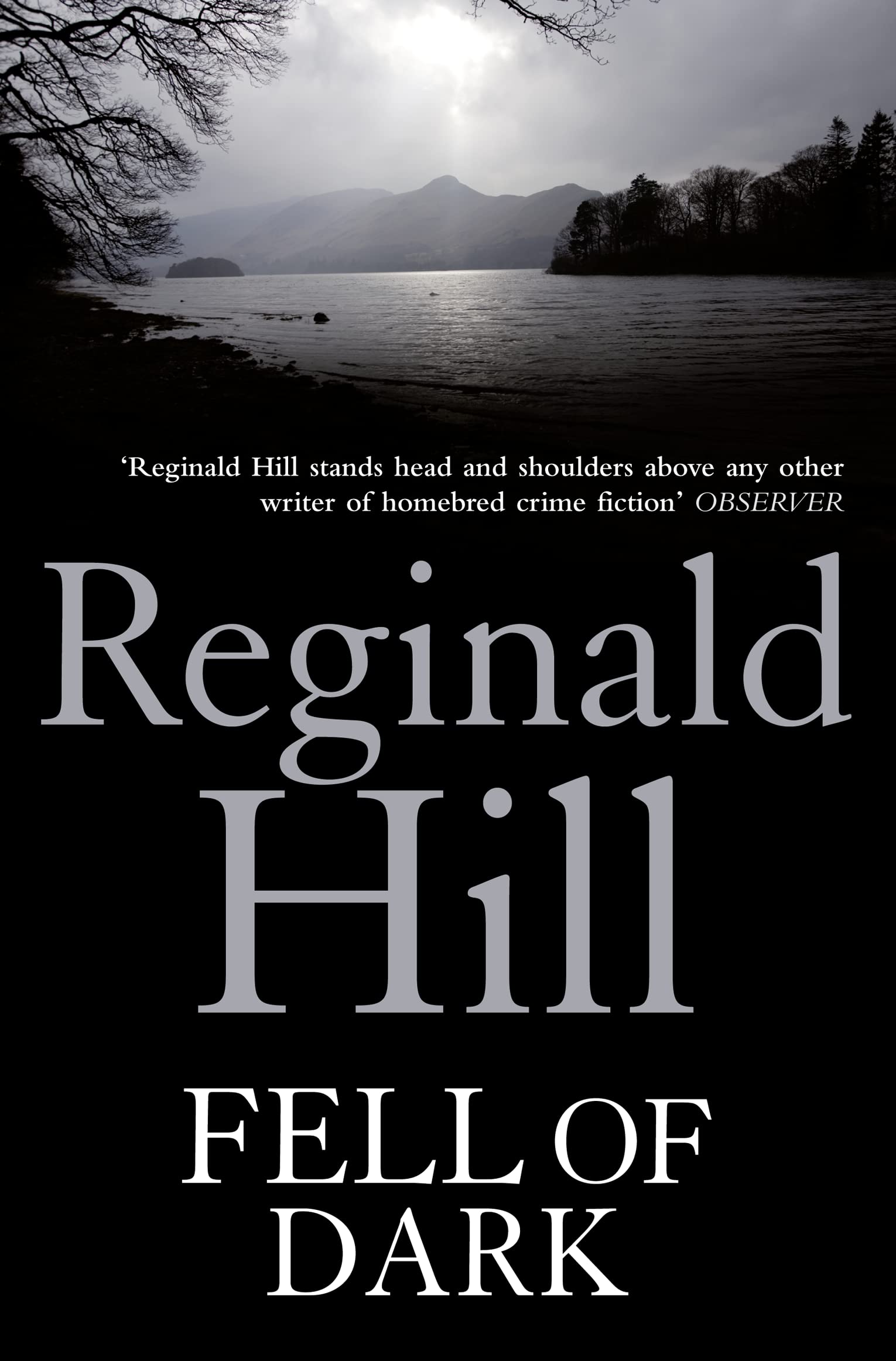 Fell of Dark: A Gripping Lake District Crime Thriller and Psychological Mystery