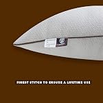 Premium 2-Pack Standard Size Sleeping Pillow, Bed Pillow, Super Soft Down Alternative with Washable Covers, Microfiber Filling, Set of 2 (14 * 14 Inch)