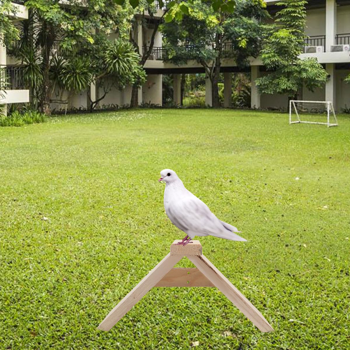 Perchas de Madera para Pájaros 5 Unidades Soporte Natural para Aves y Loros de Aves para Jaulas Accesorio Seguro y Resistente para Juguetes y Descanso en Jaula