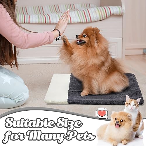 Miniatura 5 de Barydat 2 piezas de cama para gatos, saco de dormir para gatos, saco de dormir para gatitos, almohadilla calentadora para cuevas, tapete para