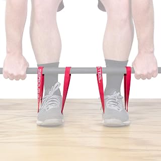 Serious Steel Fitness Short 20" Deadlift Bands | 20" Mini Band (Sold in Pairs)