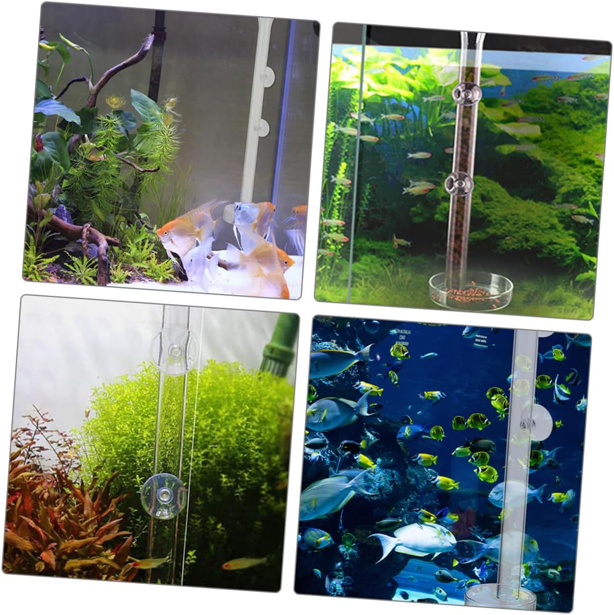 PRETYZOOM 2sets Shrimp Feeder Tray Fish Tank for Easy Observation Cup Installation for Aquarium Shrimp and Fish Food Dispensing