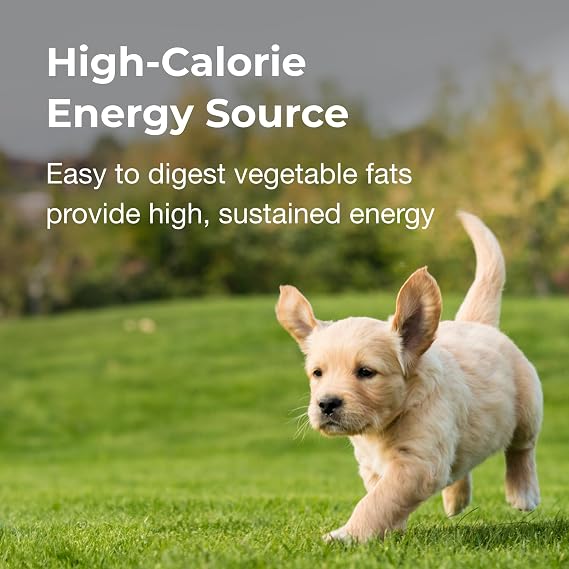 PetAg High Calorie Gel Supplement for Dogs - 5 oz, Pack of 2 - Chicken Flavor - Provides Extra Calories for Dogs 8 Weeks and Older - Easy to Digest