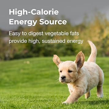 PetAg High Calorie Gel Supplement for Dogs - 5 oz, Pack of 2 - Chicken Flavor - Provides Extra Calories for Dogs 8 Weeks and Older - Easy to Digest
