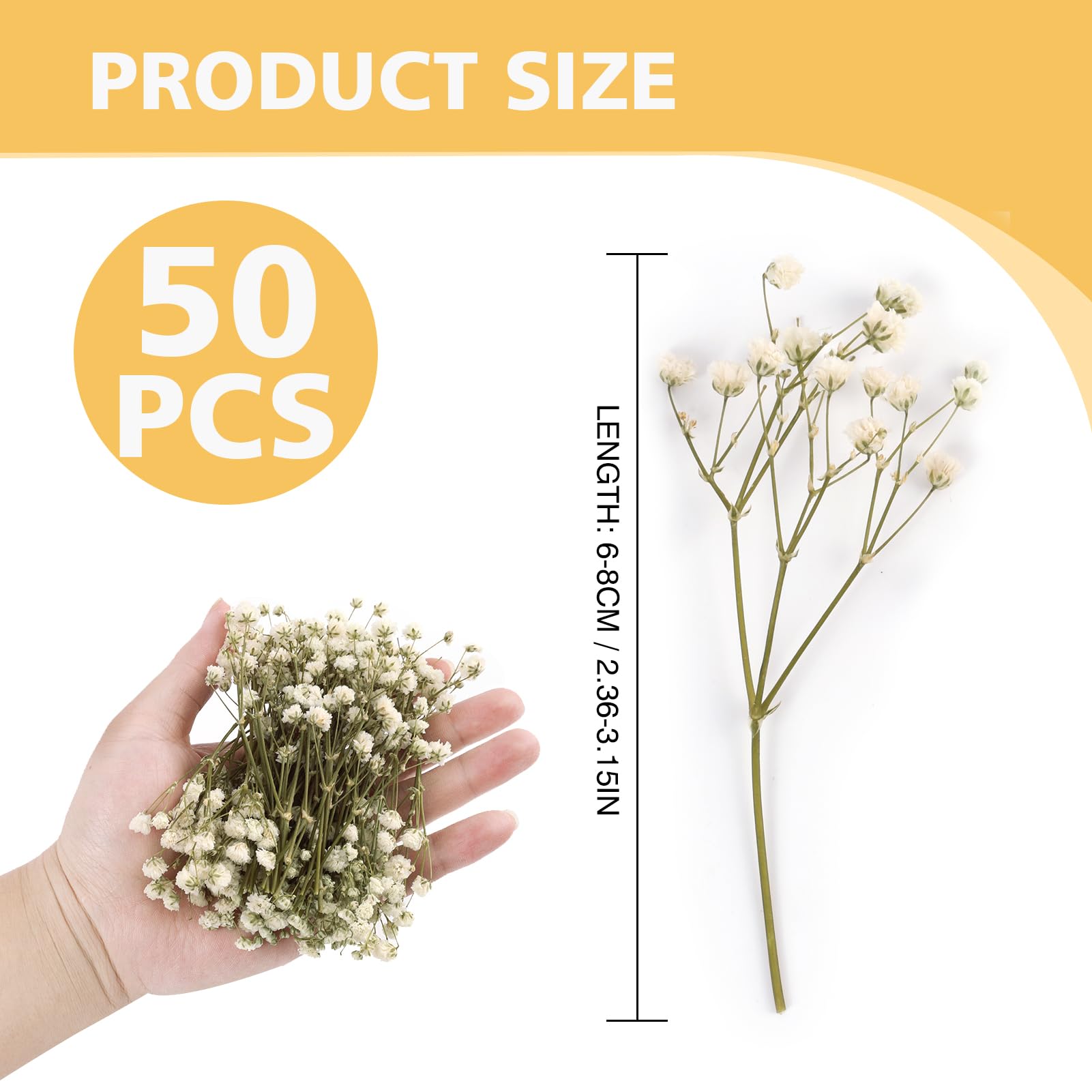 50PCS de Flores Secas Prensadas de Gypsophila Blanca Natural, Flores secas Naturales, Mini Aliento de Bebé pour Decoración de Joyería, Manualidades, Resina, Tarjetas de Bodas, Elegancia Duradera