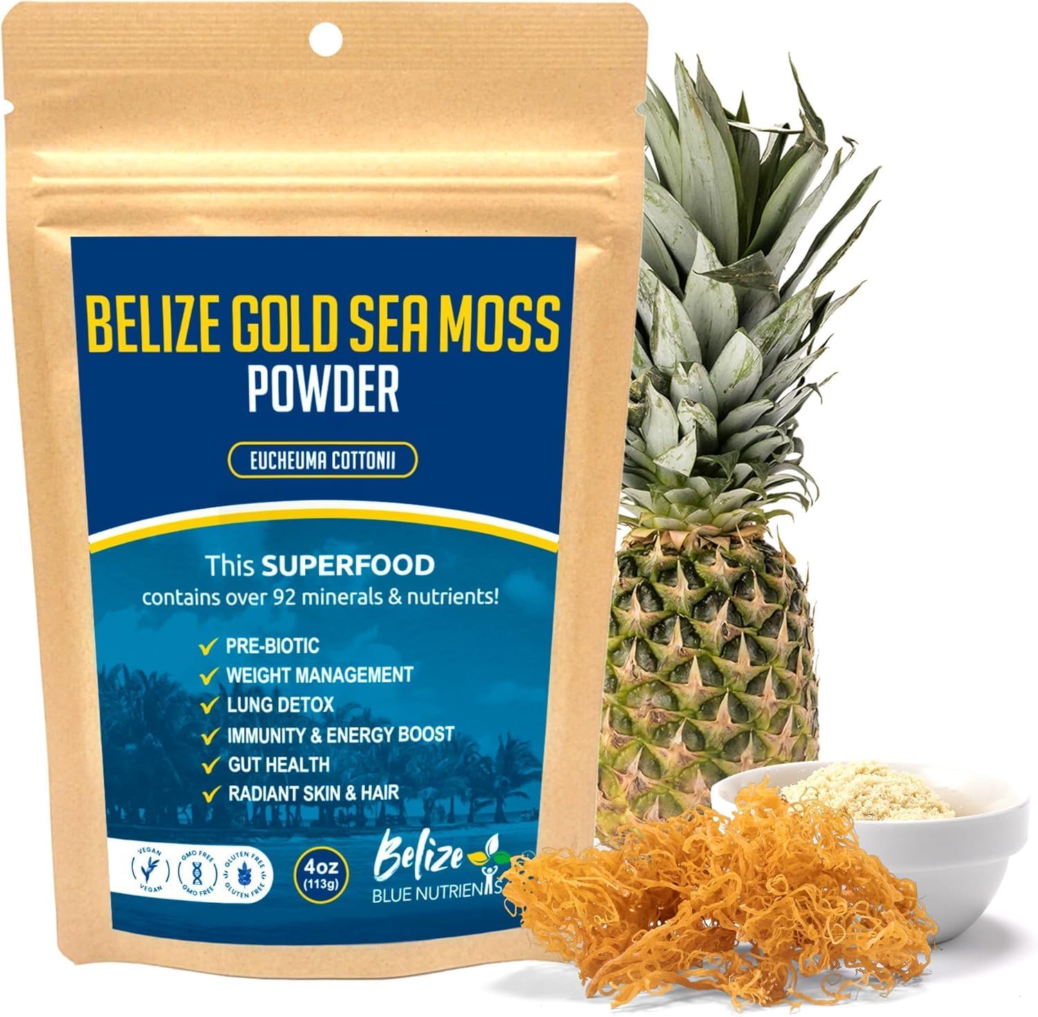 Belize Blue Nutrients – Gold Sea Moss Powder – 100% Pure Sustainably Harvested Eucheuma Cottonii from Belize – Mineral-Rich Superfood for Energy, Gut & Immune Support - 4 Oz