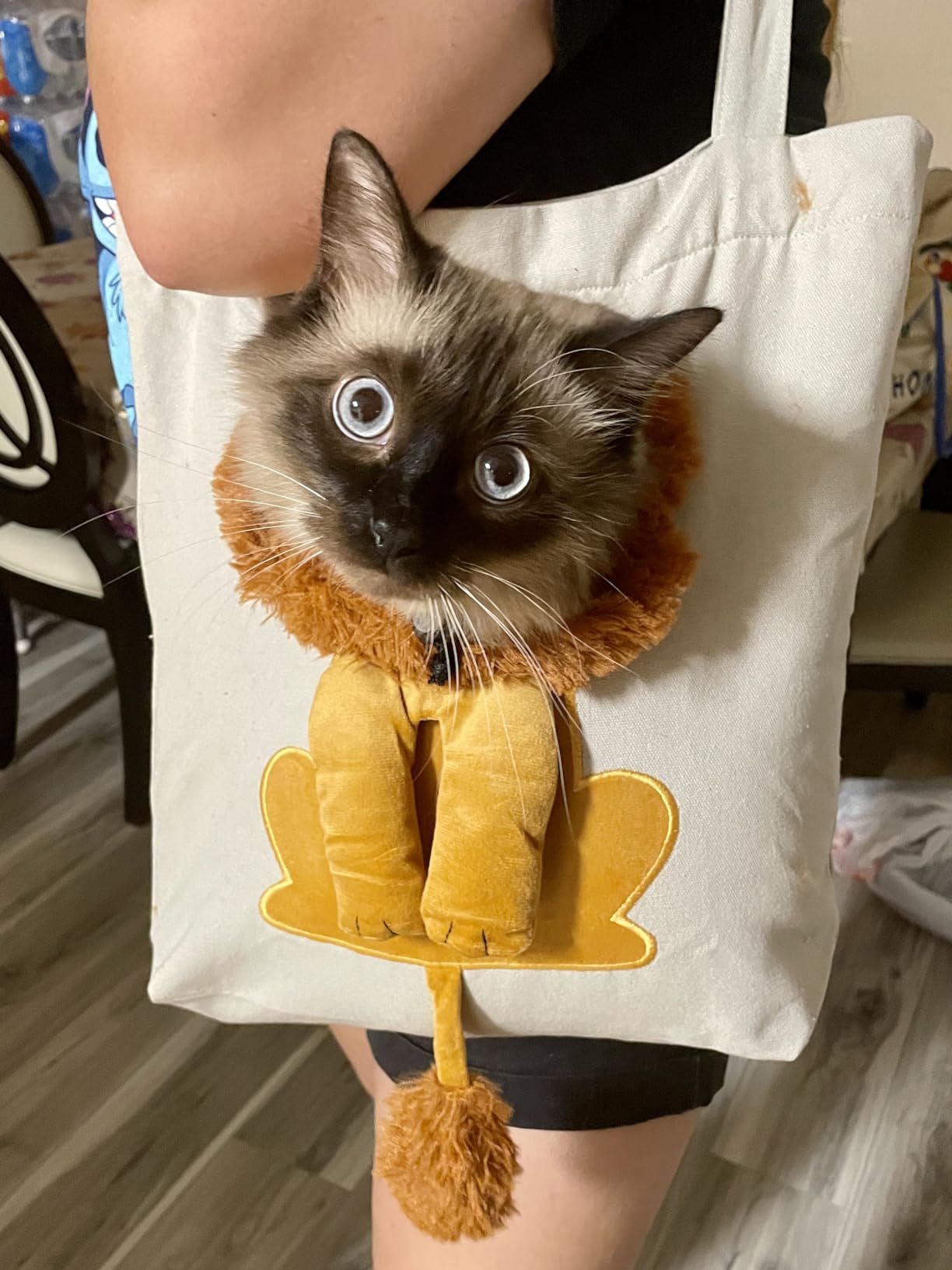 He hates it, we love it!