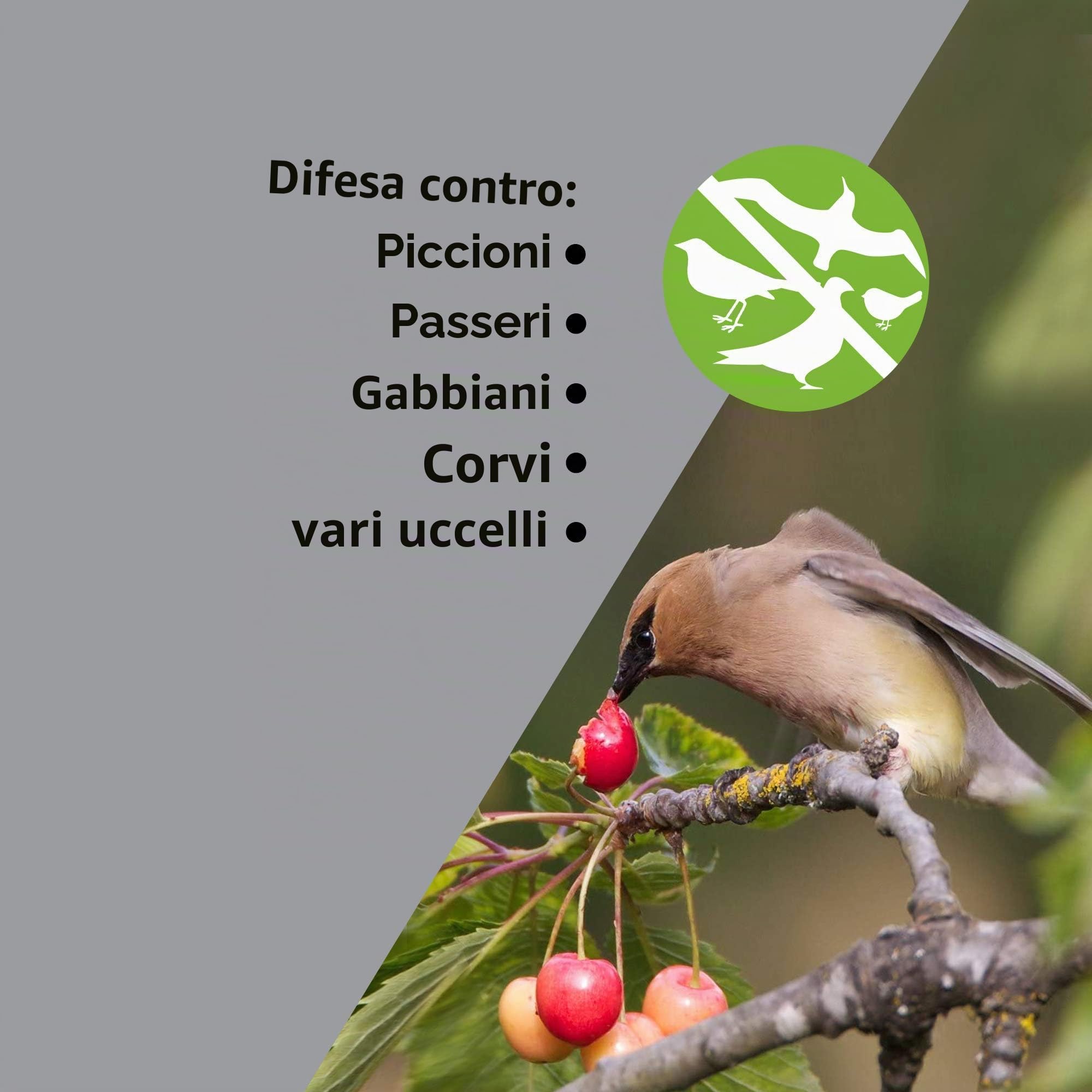 ISOTRONIC dissuasore solare uccelli luce lampeggiante ultrasuoni piccioni passeri gabbiani corvi balcone giardino raggio 150m² 2 unità efficace esterno protezione difesa stop volatili ecologico