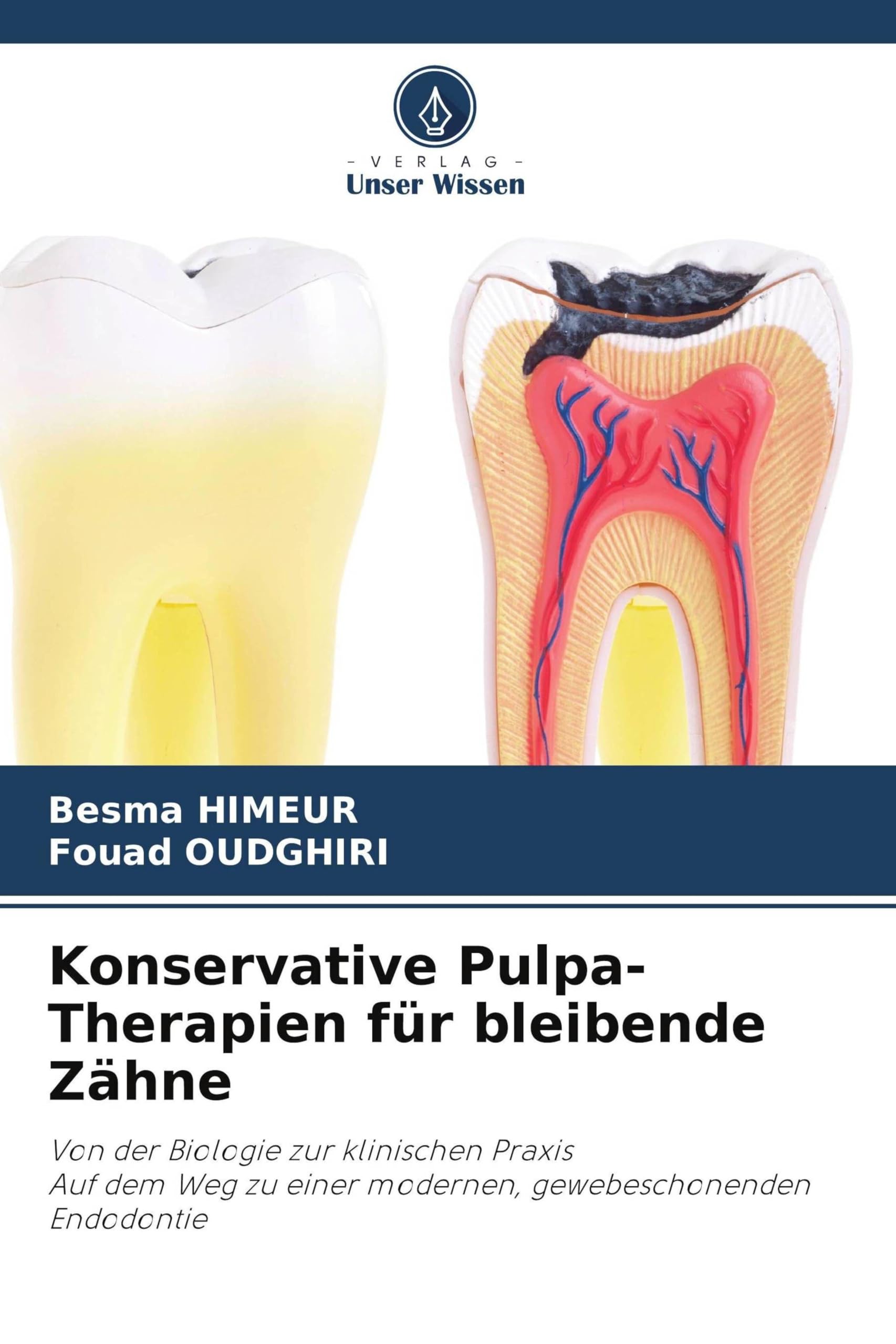 Konservative Pulpa-Therapien für bleibende Zähne: Von der Biologie zur klinischen PraxisAuf dem Weg zu einer modernen, gewebeschonenden Endodontie