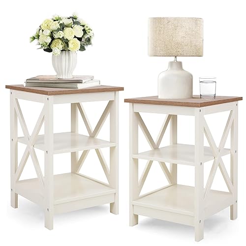 PHI VILLA End Table Living Room Set of 2, Farmhouse