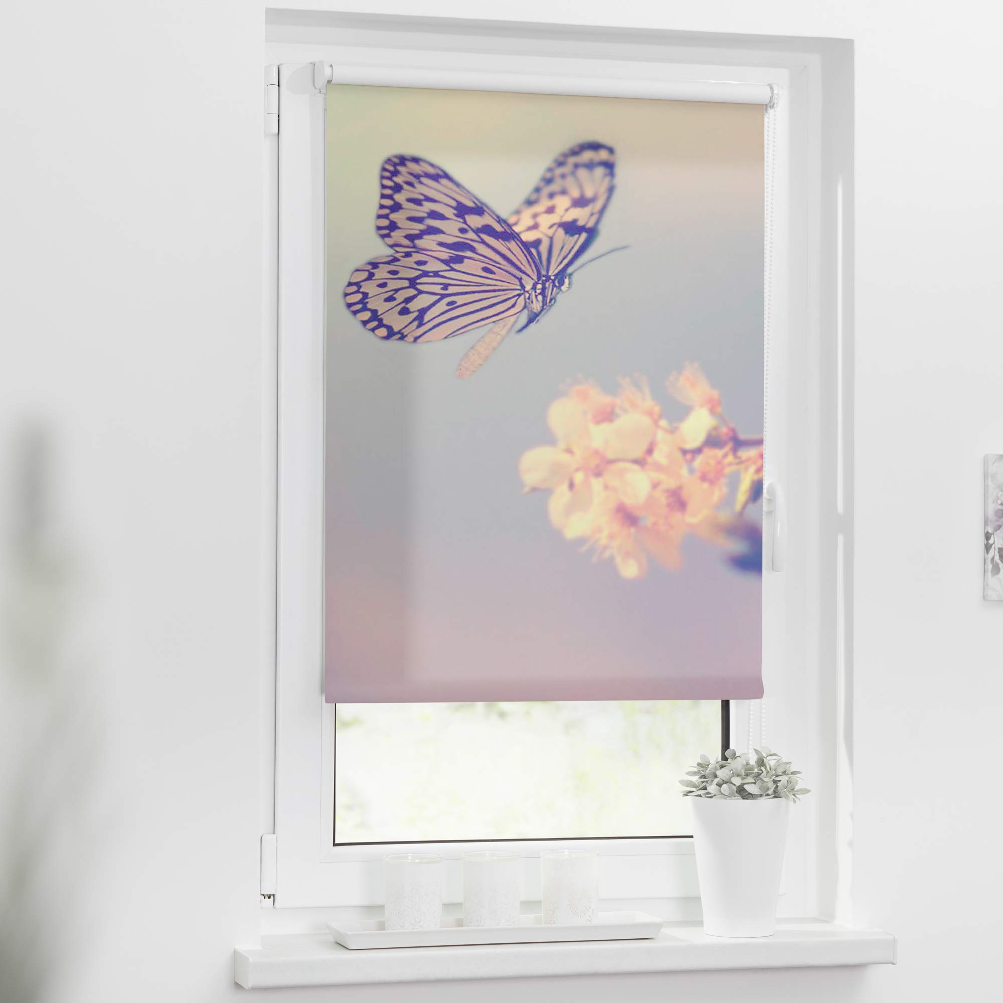 Lichtblick Rollo Tageslicht Blickdicht, ohne Bohren, 60 x 150 cm (B x L) | Rollos für Fenster ohne Bohren, Klemmfix Tageslicht-Rollo mit Motiv, Blickdicht, Seitenzugrollo, Made in Germany, Klemmbar