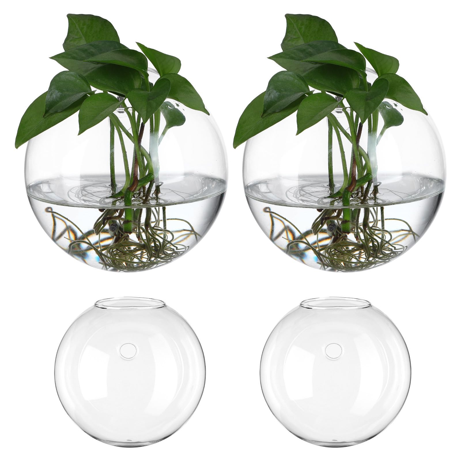 TOYANDONA 8 Hängendes Wand Terrarium aus Glas, Klar, Rund