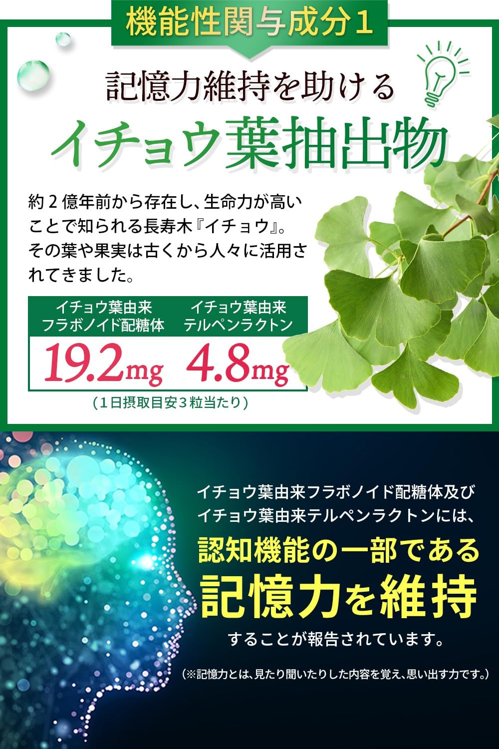 Amazon | 【記憶力を維持する】【目の疲労感を緩和】Wで働く イチョウ 