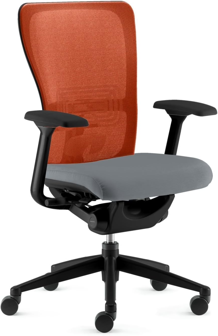 Zody Task Chair by Haworth Advanced Model Back Stop