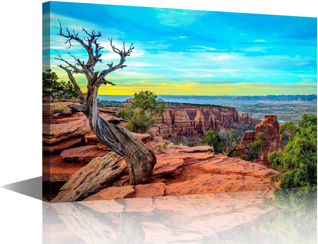 Amazon.com: TUMOVO Bedroom Wall Decor Monument Valley Wall Art Colorado ...