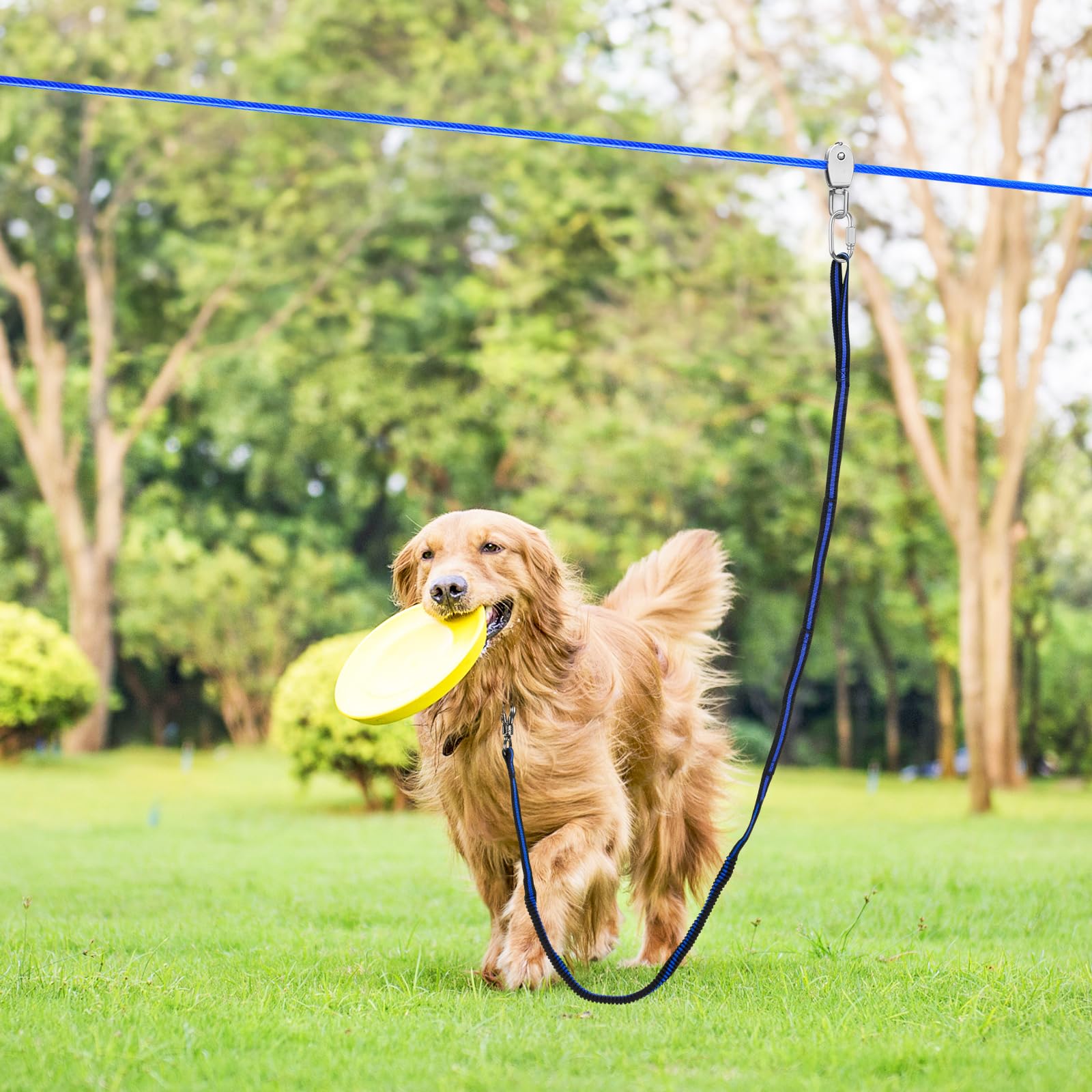 XiaZ Hundeleinenkabel, 45,7 m, Trolley-Läuferkabel für Hunde bis zu 113,4 kg, Hundeleine für Hof, Camping, Outdoor, mit 2,4 m Nylon-Bungee-Läufer, Kabelschlinge zum Schutz von Bäumen, Blau