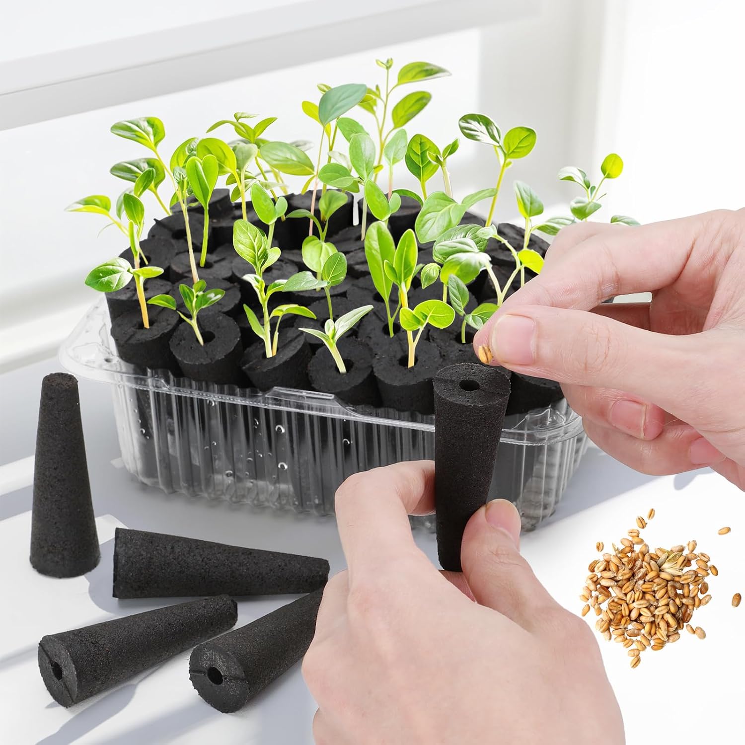 Doter 100 pcs Grow Sponges for Hydroponics Compatible with AeroGarden, Hydroponics Growing System Pods, General Hydroponics Rapid Rooter, Starter Plug for Seeds or Cuttings