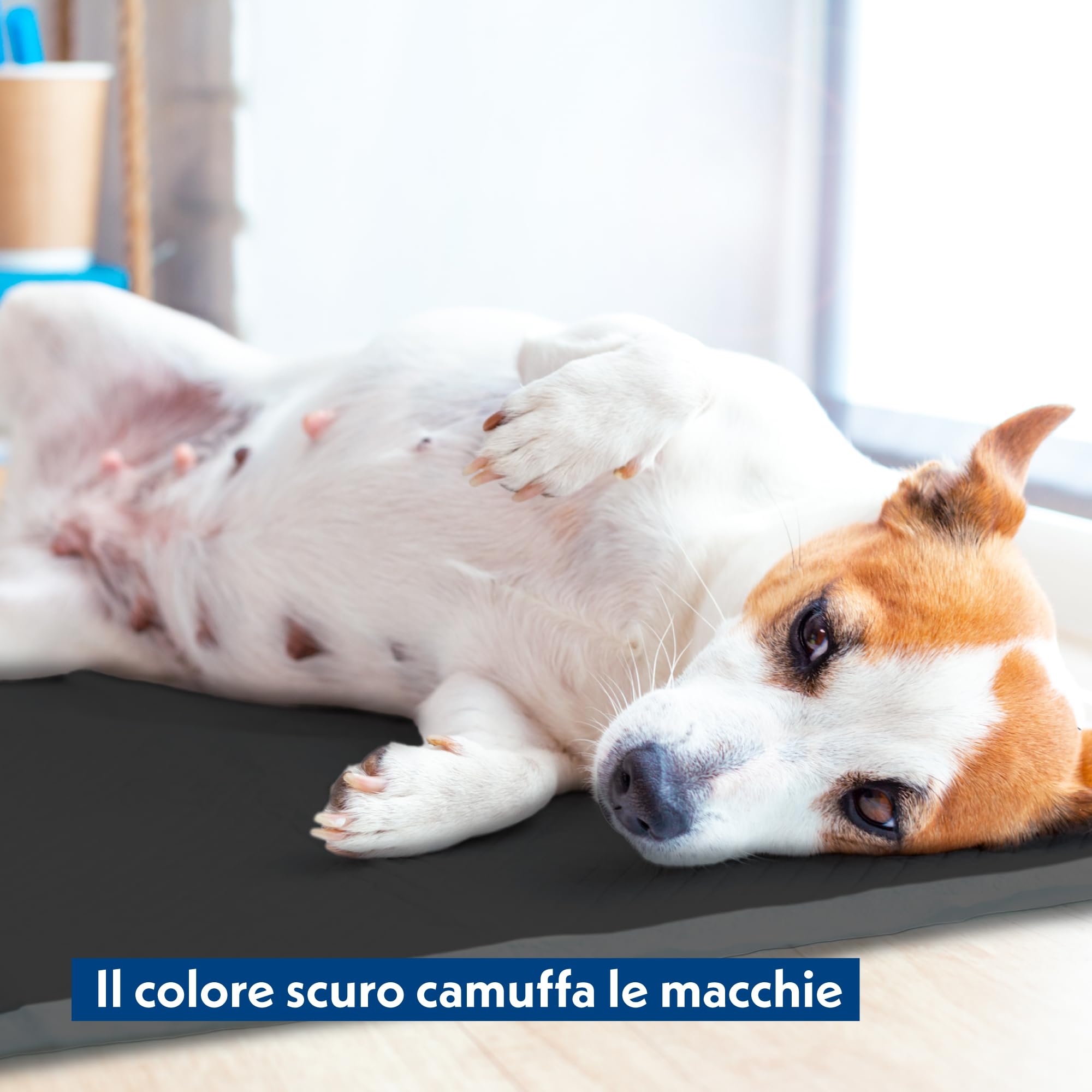 Amore Mio | 100 Tappetini Igienici Antiodore ai Carboni Attivi Con Angoli Adesivi, Per Cani, Gatti e Animali Domestici, 60x60 cm, Formula Ipoallergenica - 10 Confezioni da 10 Traversine