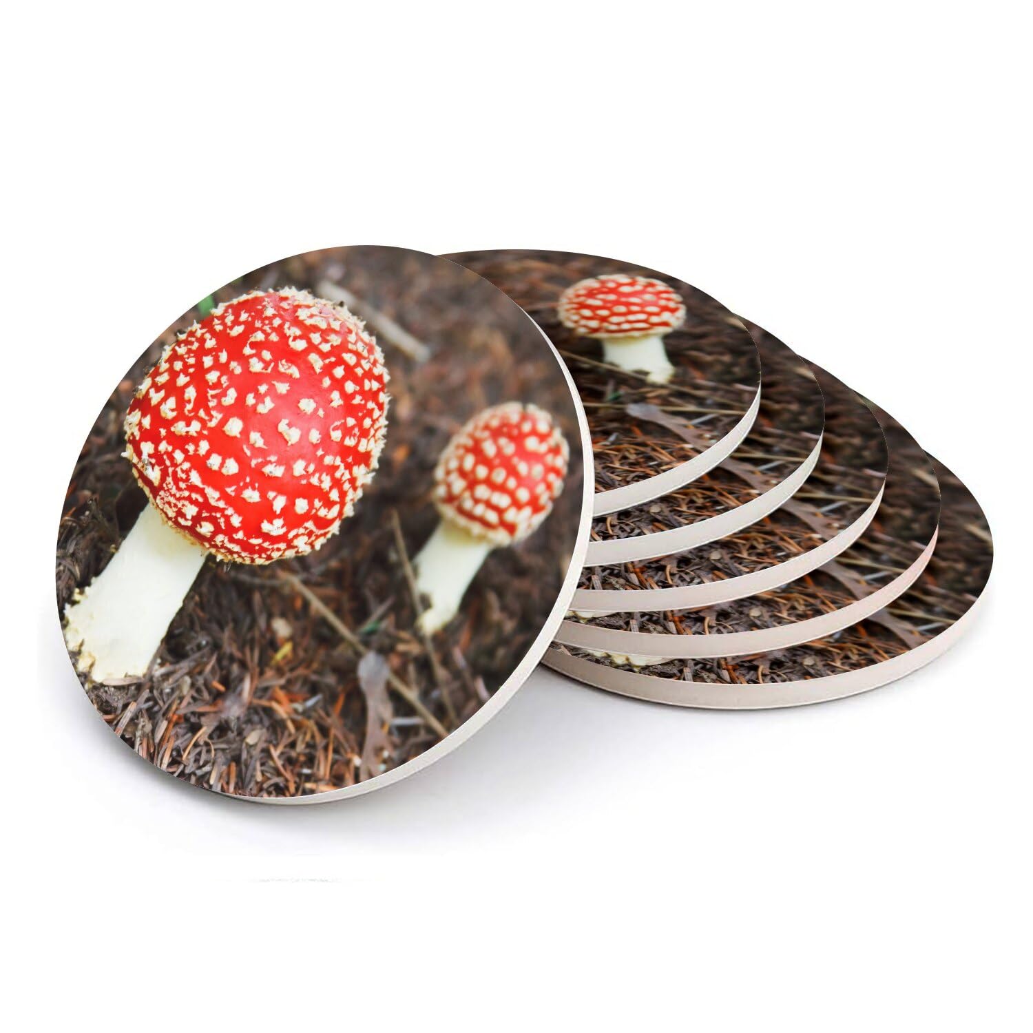 Petites amanites tue mouche sous verre céramique anti tache table