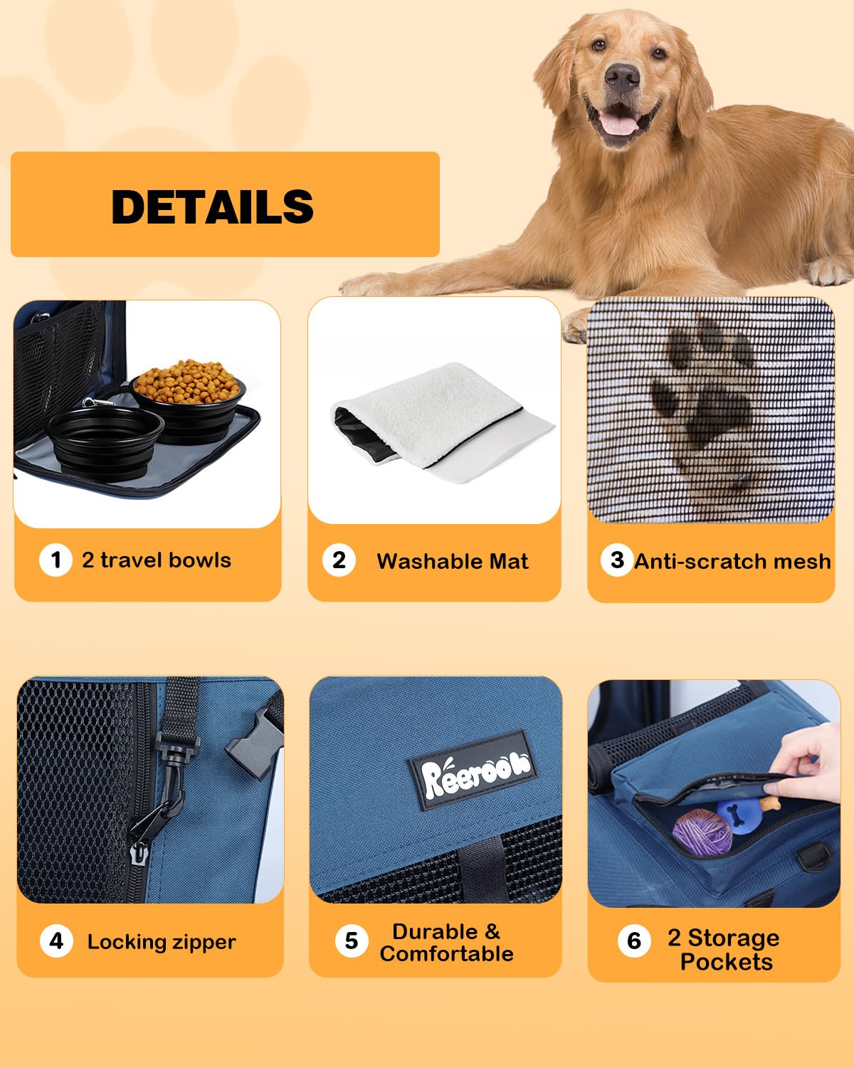 https://m.media-amazon.com/images/I/71MSPJcTlIL.jpg