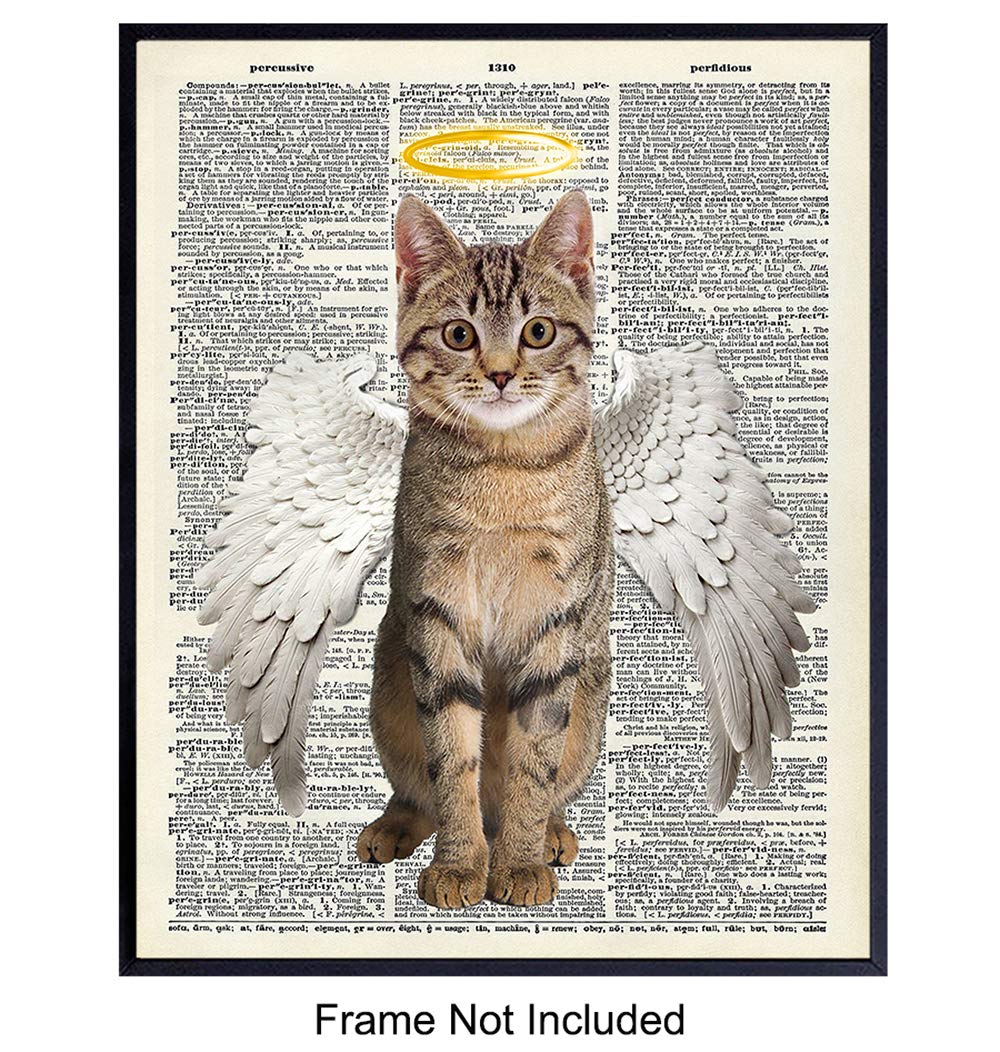 Sentimental Angel Cat Wall Decor Cat Wall Art Dictionary Art