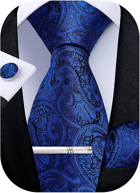 DiBanGu Men's Necktie Handkerchief Silk Paisley Floral Tie Pocket Square Cufflinks Tie Clip Set