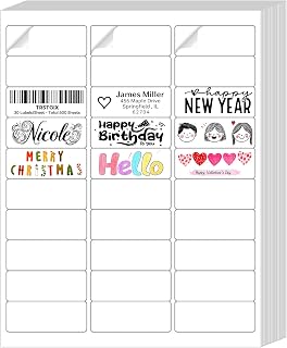 1" x 2-5/8" Address Labels, 500 Sheets, 15,000 Labels | Matte White Sheets Work with Laser and Inkjet Printers, Layout and Permanent Adhesive for Mailing and Organizing