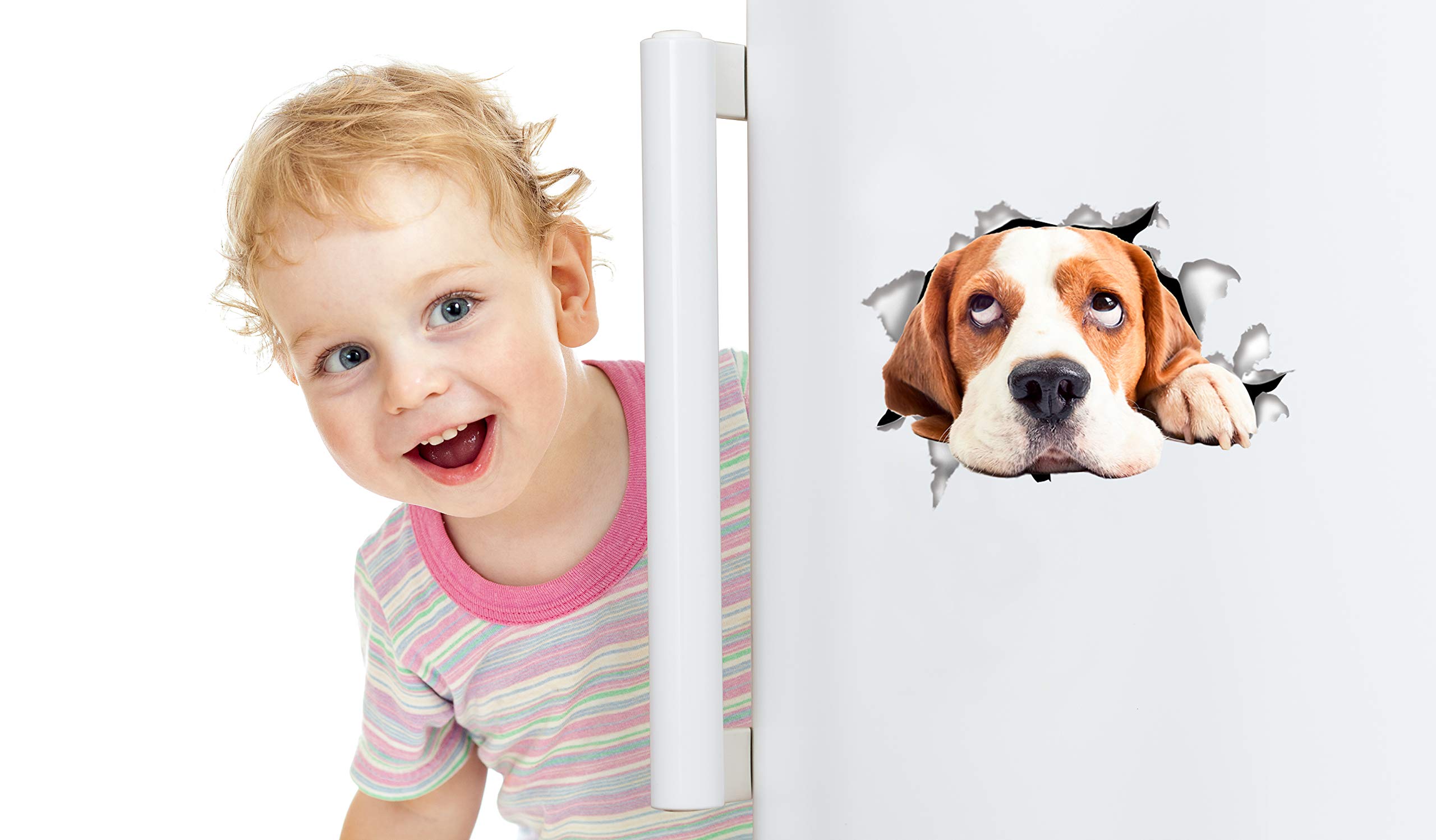 Winston & Bear 3D Cat Stickers - 2 Pack - Hopeful Beagle Decals for Wall - Stickers for Bedroom - Fridge - Toilet - Room - Retail Packaged